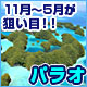 【パラオ】隆起サンゴでできた『ダイバーズヘブン』