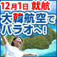 12月1日就航！大韓航空でパラオへ！
