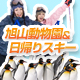 冬の旭山動物園&日帰りスキープラン