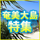 奄美大島