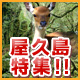 屋久島特集