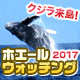 ホエールウォッチング2012