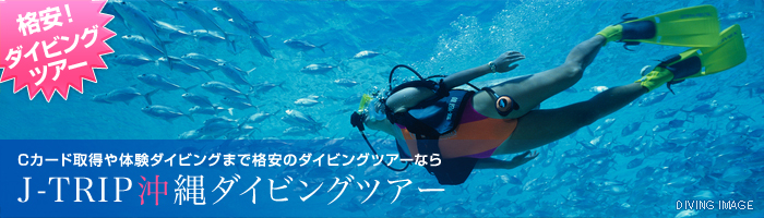 格安沖縄ダイビングツアー