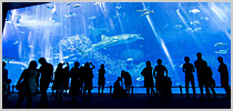 沖縄