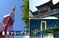 東京ディズニーリゾート入場パス付きフリープラン