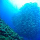 【沖縄本島・那覇】シープレイス