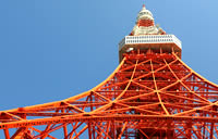東京・横浜フリープラン
