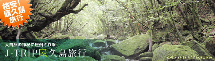 格安屋久島旅行