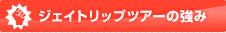 ジェイトリップツアーの強み