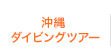 沖縄ダイビングツアー