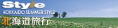 Style�k�C��