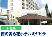 ��̔���ԃz�e���~���q��
