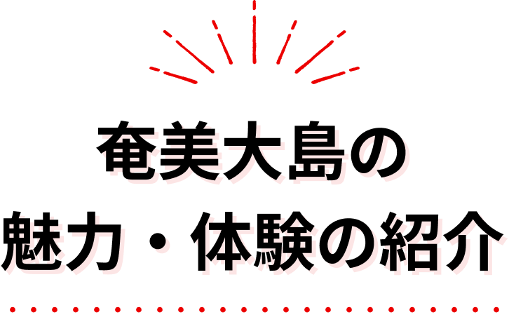  奄美大島の魅力・体験の紹介