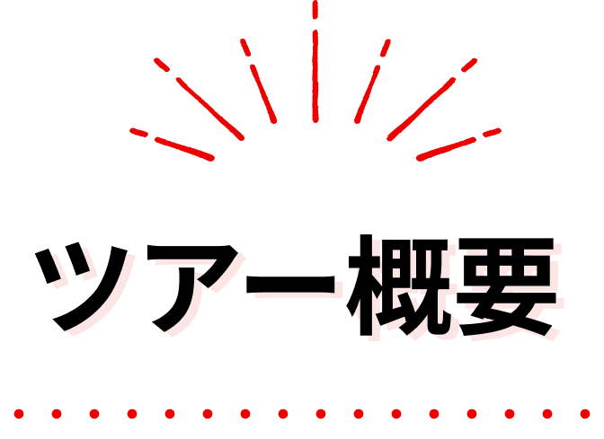  ツアー概要