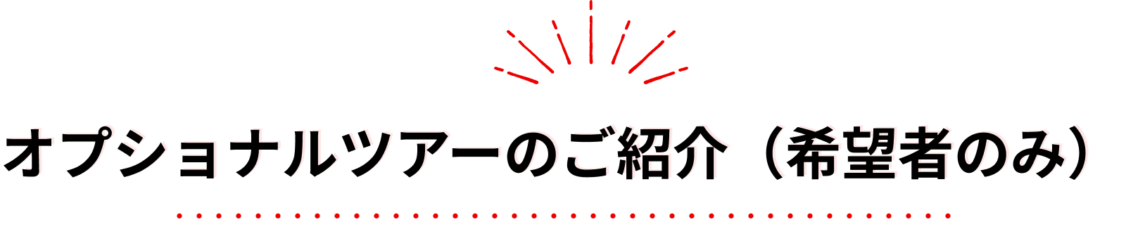 オプショナルツアーのご紹介（希望者のみ）