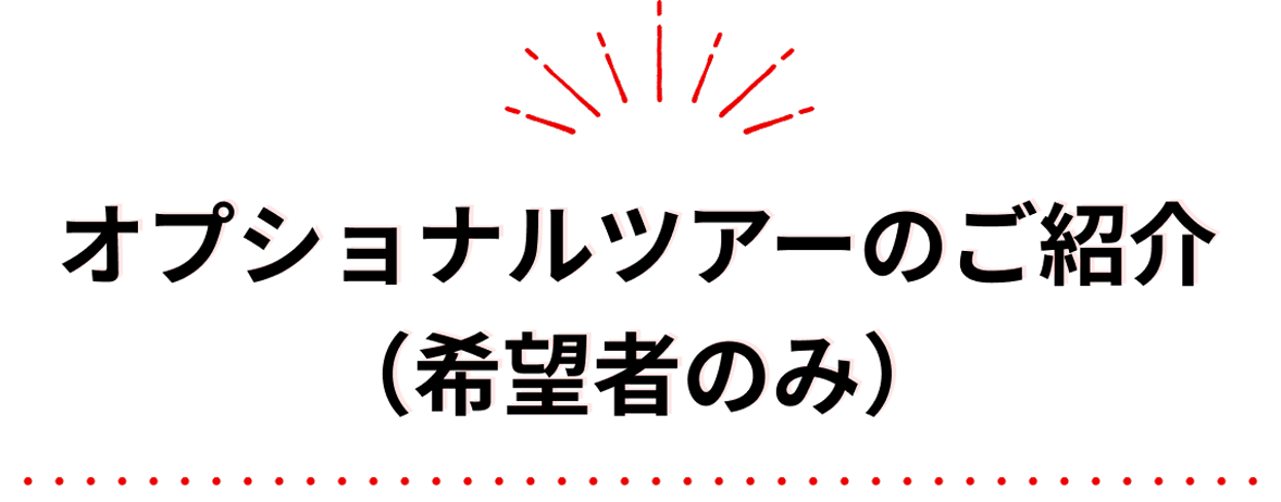 オプショナルツアーのご紹介（希望者のみ）
