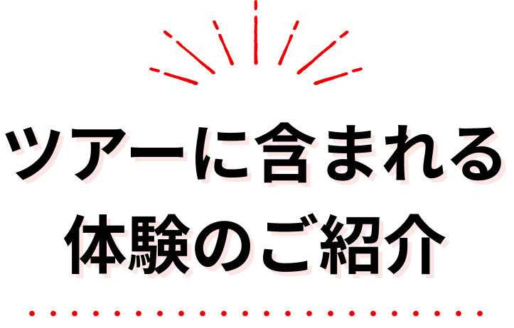  ツアーに含まれる体験のご紹介