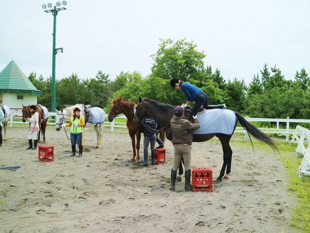 馬の乗り方や姿勢の練習