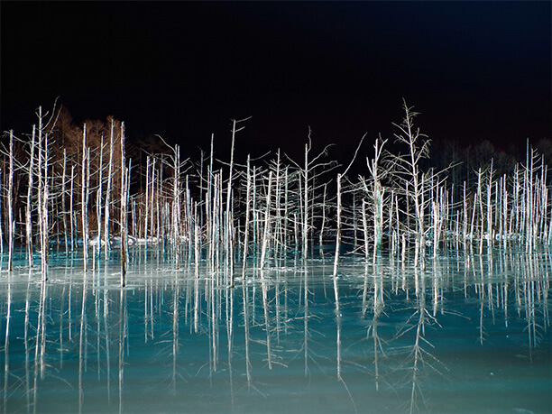 夜間ライトアップされた青い池