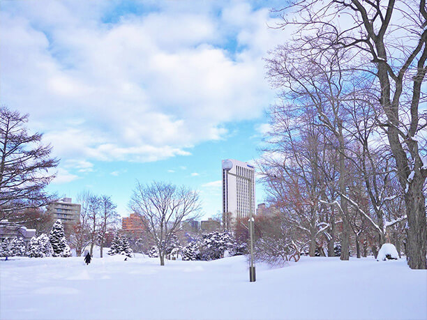 雪が積もった中島公園