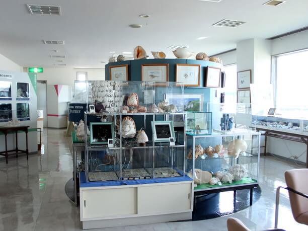 港の貝の博物館