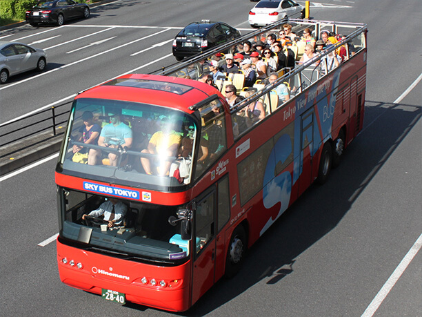 スカイバス東京と乗客